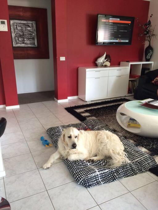 Lilli Pilli Sublime At The - Family & Dog Friendly Batemans Bay