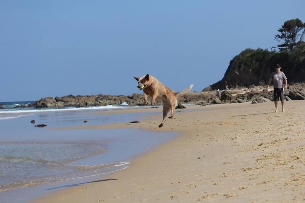Lilli Pilli Sublime At The - Family & Dog Friendly *
