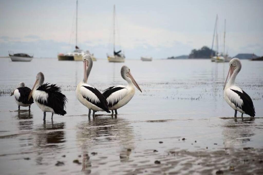 Holiday home Lilli Pilli Sublime At The - Family & Dog Friendly Batemans Bay